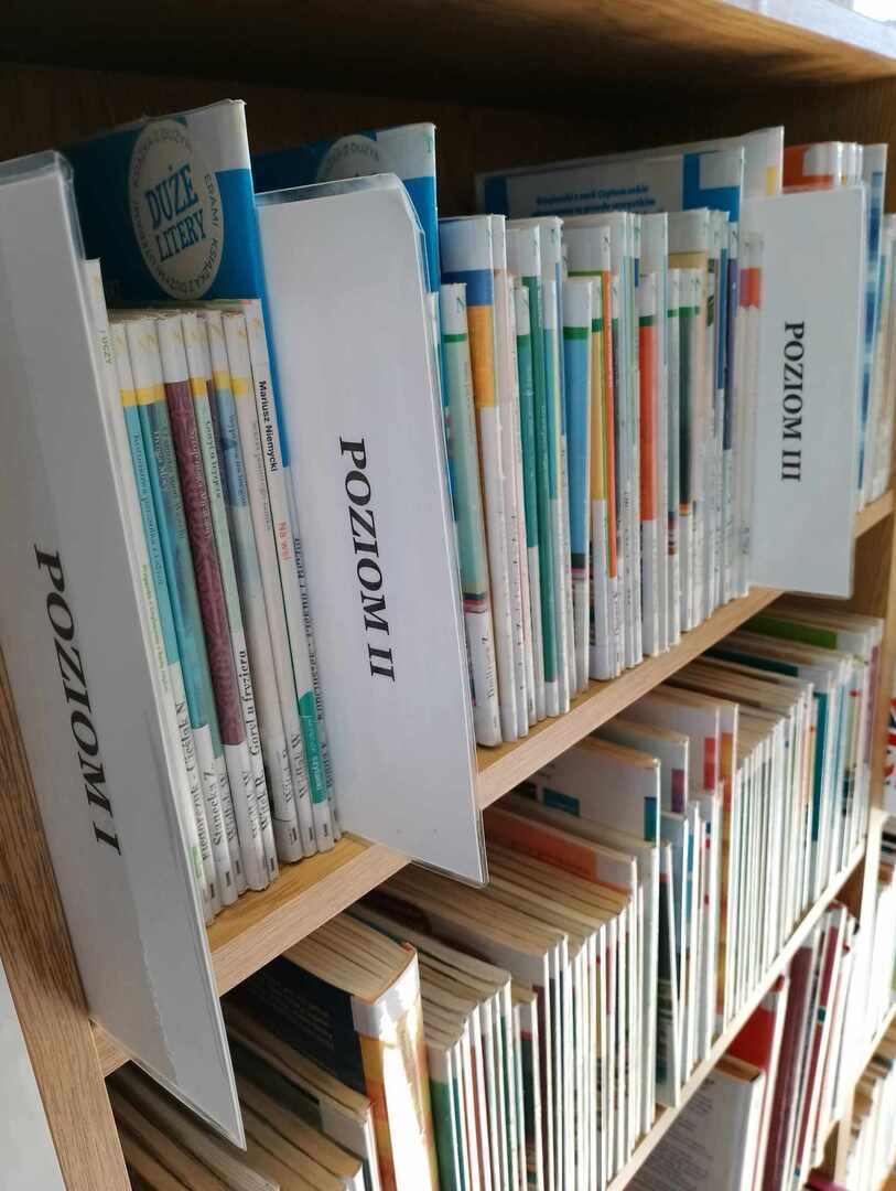 Zdjęcie przedstawia regał z książkami do nauki czytania.