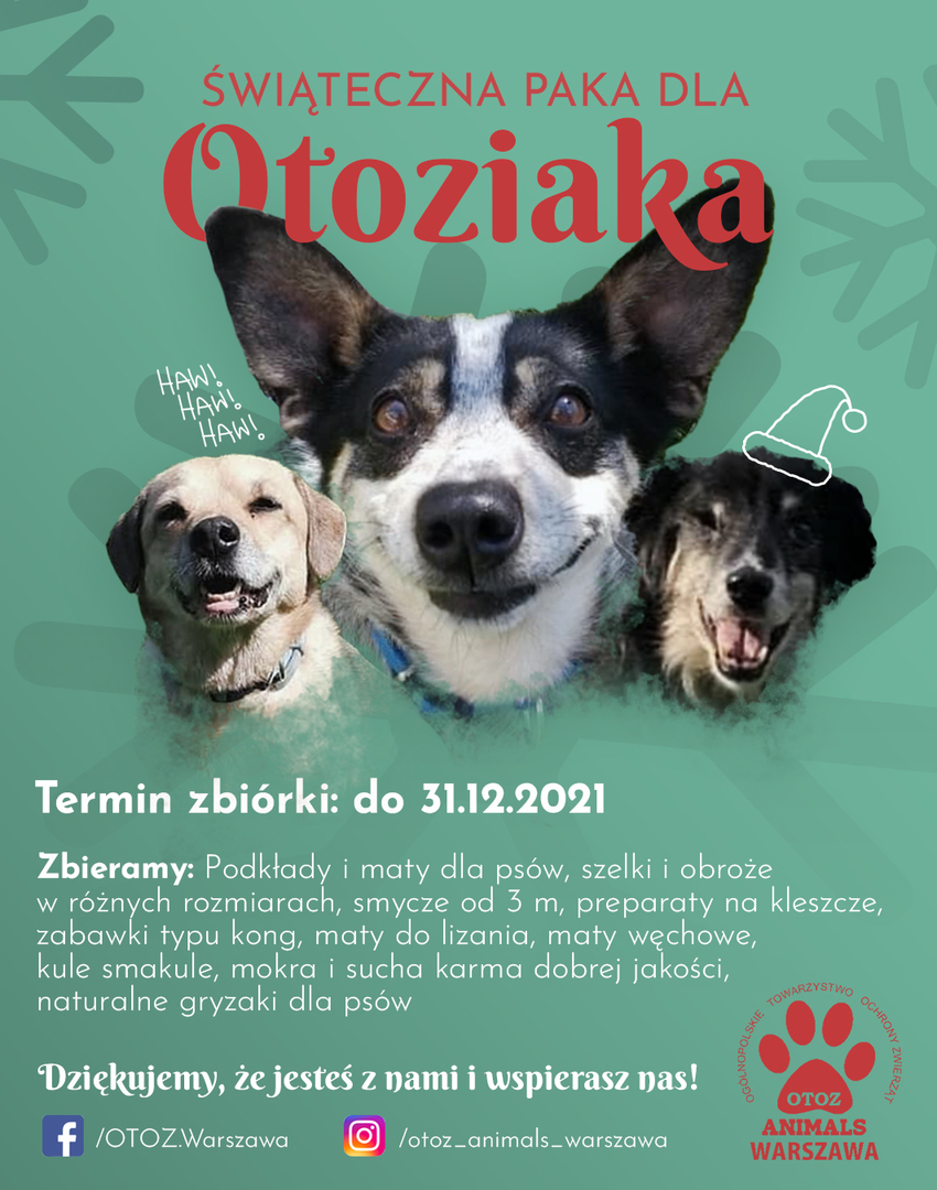 plakat akcji OTOziak - psy na zielonym tle z informacją o akcji