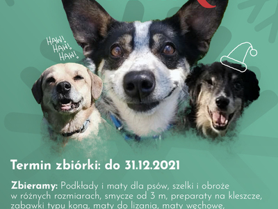 plakat akcji OTOziak - psy na zielonym tle z informacją o akcji
