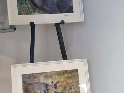 sztaluga z dwoma fotografiami zwierząt