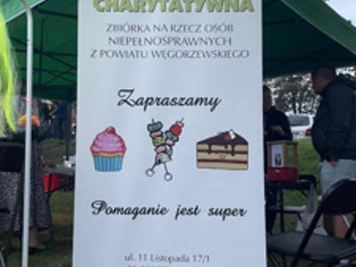 ,,Dobro Wraca – Charytatywna Akcja dla Anastazji''