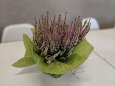 🌸✨ Bajkowy dzień w Klubie Seniora ✨🌸