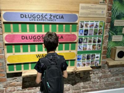 Małe i duże wakacyjne podróże