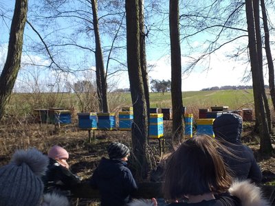 Ferie - Ule