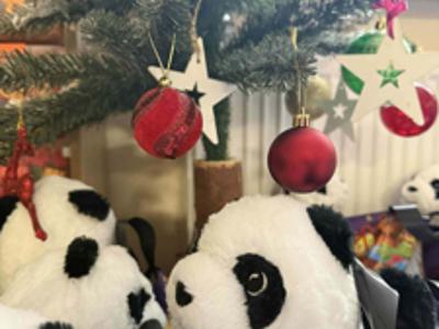 Spotkanie Wigilijne 2025