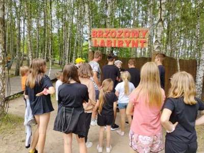 Wejście do brzozowego labiryntu