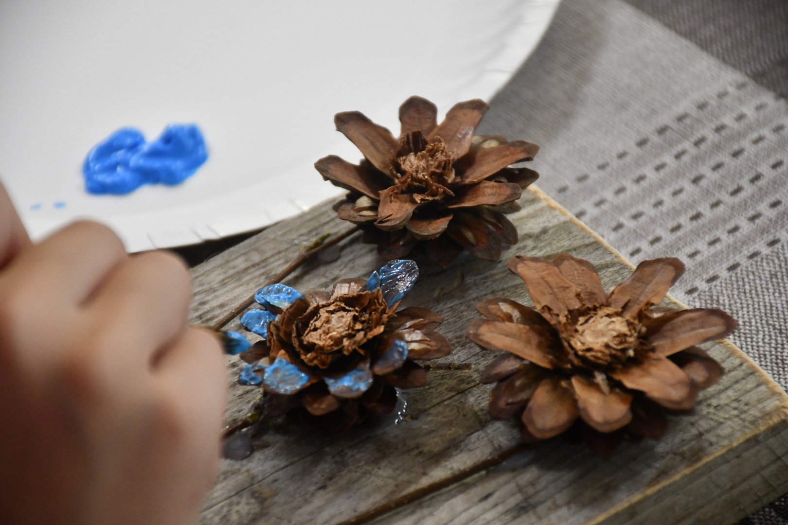 dsc_8456.jpg [5568x3712]