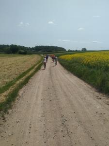 Rajd rowerowy - Odjazdowy Bibliotekarza - uczestnicy na trasie