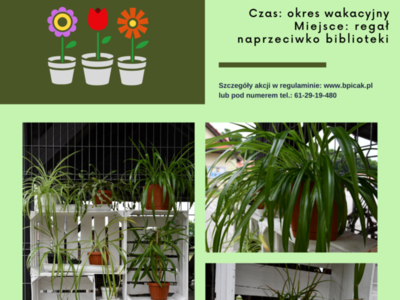 Flower Crossing - przygarnij kwiatka