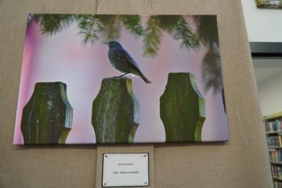 "Kopciuszek" - jedna z fotografii Mariusza Szczepnika.