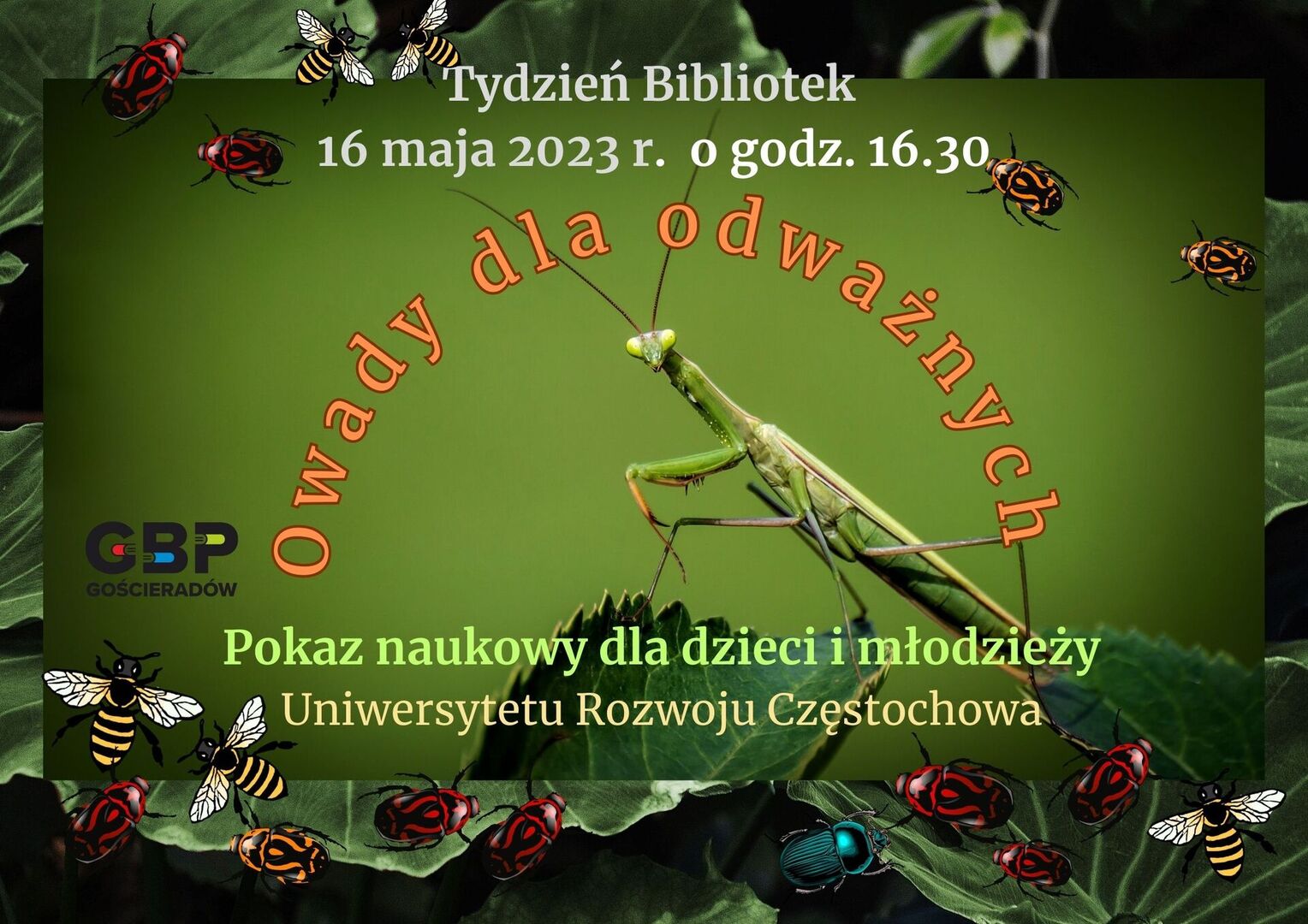Plakat  do zajęć "Owady dla odważnych"