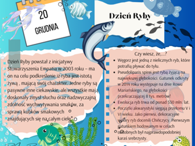 20 grudnia