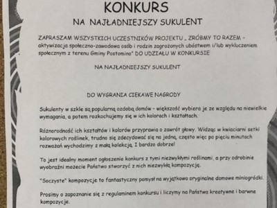 KONKURS NA NAJŁADNIEJSZY SUKULENT W SZKLE