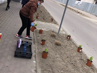 Sadzenie kwiatów w Jarosławcu