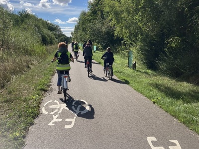 rowerzyści jadą ścieżką rowerową