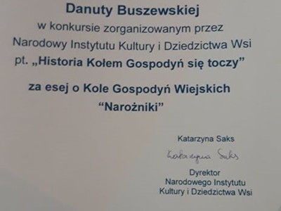 Dyplom infografika