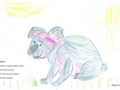 koala