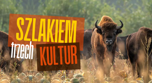 Szlakiem Trzech Kultur