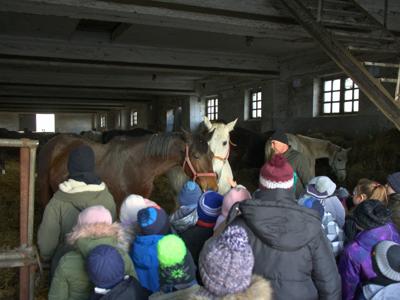 Stadnina koni w Walewicach