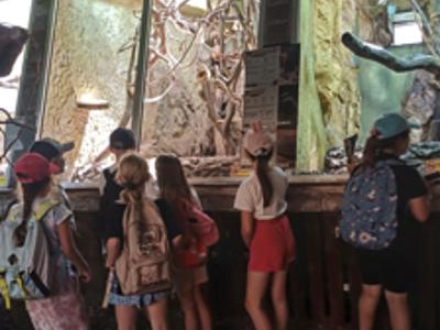 Zoo i Orientarium w Łodzi