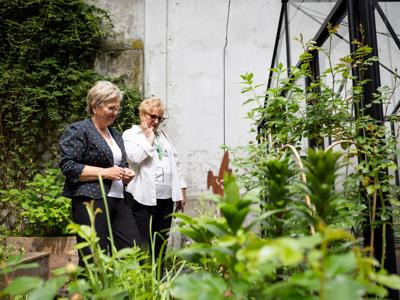 Towarzystwo Inicjatyw Twórczych ę, Grupa Wolontariacka Agrafka, aktywny senior UTW Radziejowice