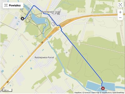 Ptasi Rajd - Trasa I - Powozownia Radziejowice - Stawy Borki 