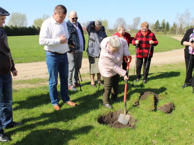 Zdjęcie przedstawia jedną z seniorek wykopującą ziemię pod sadzonkę drzewa. Wokół niej seniorzy oraz burmistrz i dyrektor mgops.