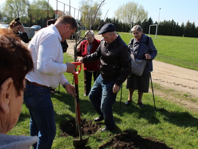 Zdjęcie przedstawia seniora sadzącego lipę. W jego otoczeniu burmistrz oraz seniorzy z DDP.