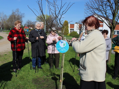 Zdjęcie przedstawia jedną z seniorek wieszającą na nowo posadzonym drzewie zawieszkę z informacją „Lipa – Seniorita. Posadzona przez uczestników Domu Dziennego Pobytu Senior+ w Sompolnie w dniu 21.04.2023r.”