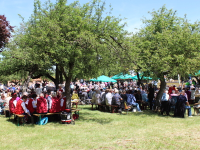 Fotografia przedstawia seniorów siedzących pod drzewami na ławkach.