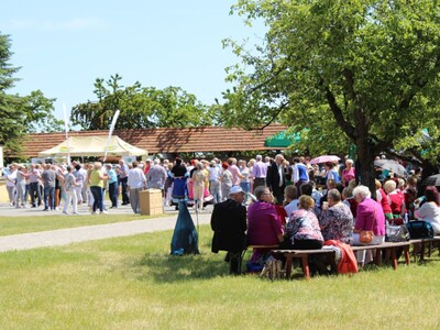 Zdjęcie przedstawia seniorów siedzących pod drzewami na ławkach oraz seniorów tańczących przed sceną.