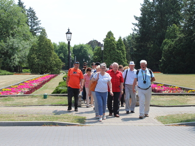 12)	Grupa zwiedzających spaceruje pośród dywanów kwiatowych
