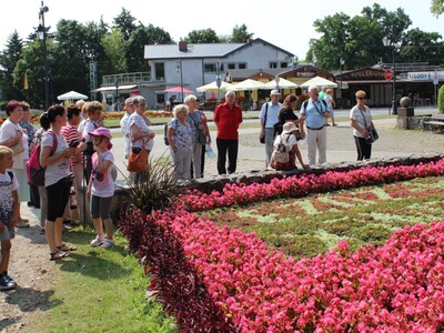 3)	Na fotografii grupa osób biorących udział w wycieczce do Ciechocinka. Przed nimi fragment dywanu kwiatowego.