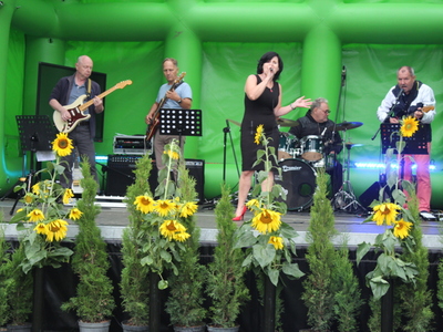 16)	Zdjęcie przedstawia występ zespołu Juniors to MY