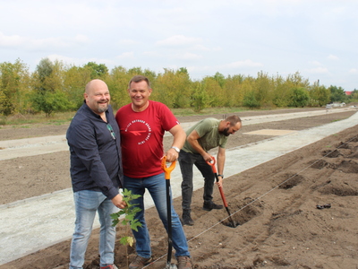 Na zdjęciu burmistrz miasta Sompolna  - Pan Roman Bednarek oraz dyrektor miejsko – gminnego ośrodka pomocy społecznej – Pan Tomasz Majewski prezentują nowo wsadzone drzewko. Po prawej stronie pracownik przygotowujący miejsce do posadzenia kolejnego drzewa.