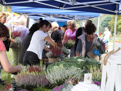 Zdjęcie prezentuje przebieg warsztatów florystycznych z wrzosami.