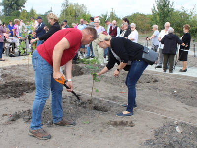 Na fotografii burmistrz miasta Sompolna oraz kobieta sadząca drzewo.