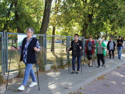 Fotografia ukazuje grupę seniorów spacerującą z kijami do nordic walking