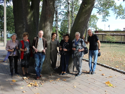 Na zdjęciu grupa spacerowiczów stojąca w cieniu drzew.