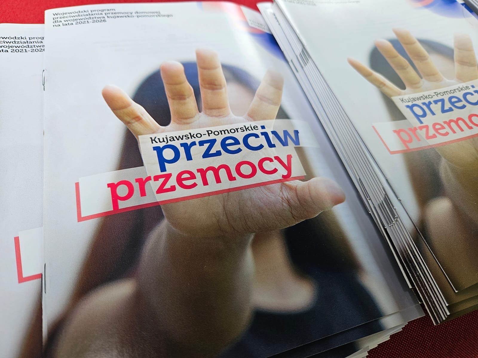 Kujawsko-Pomorskie przeciw przemocy