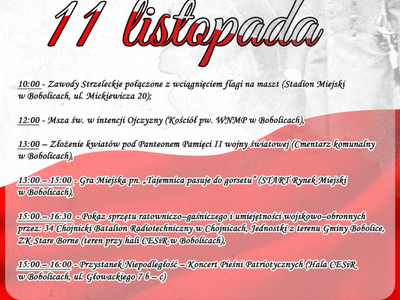 11 listopada plakat