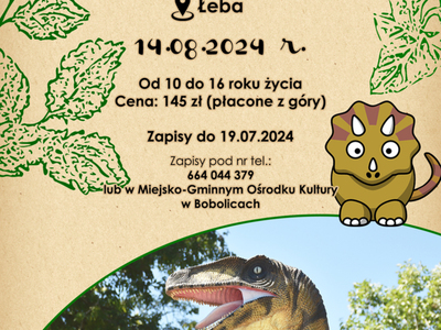 Wycieczka do Łeby